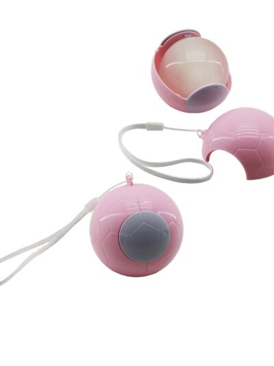 Top Modeli Yapışkanlı Tüy Toplayıcı Renkli Plastik Top Taşıma İpli